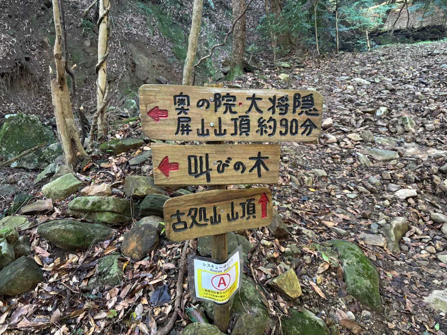 行きは叫びの木コースをチョイス👍