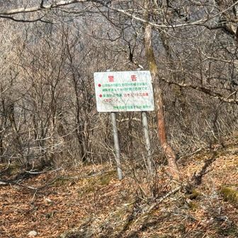 鋸岳は行ってません