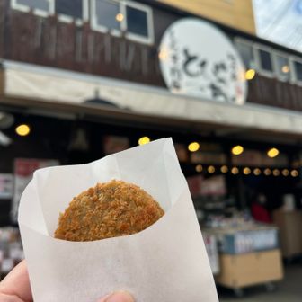 母たちと合流〜
占いして時間潰してたらしい

シラスコロッケ