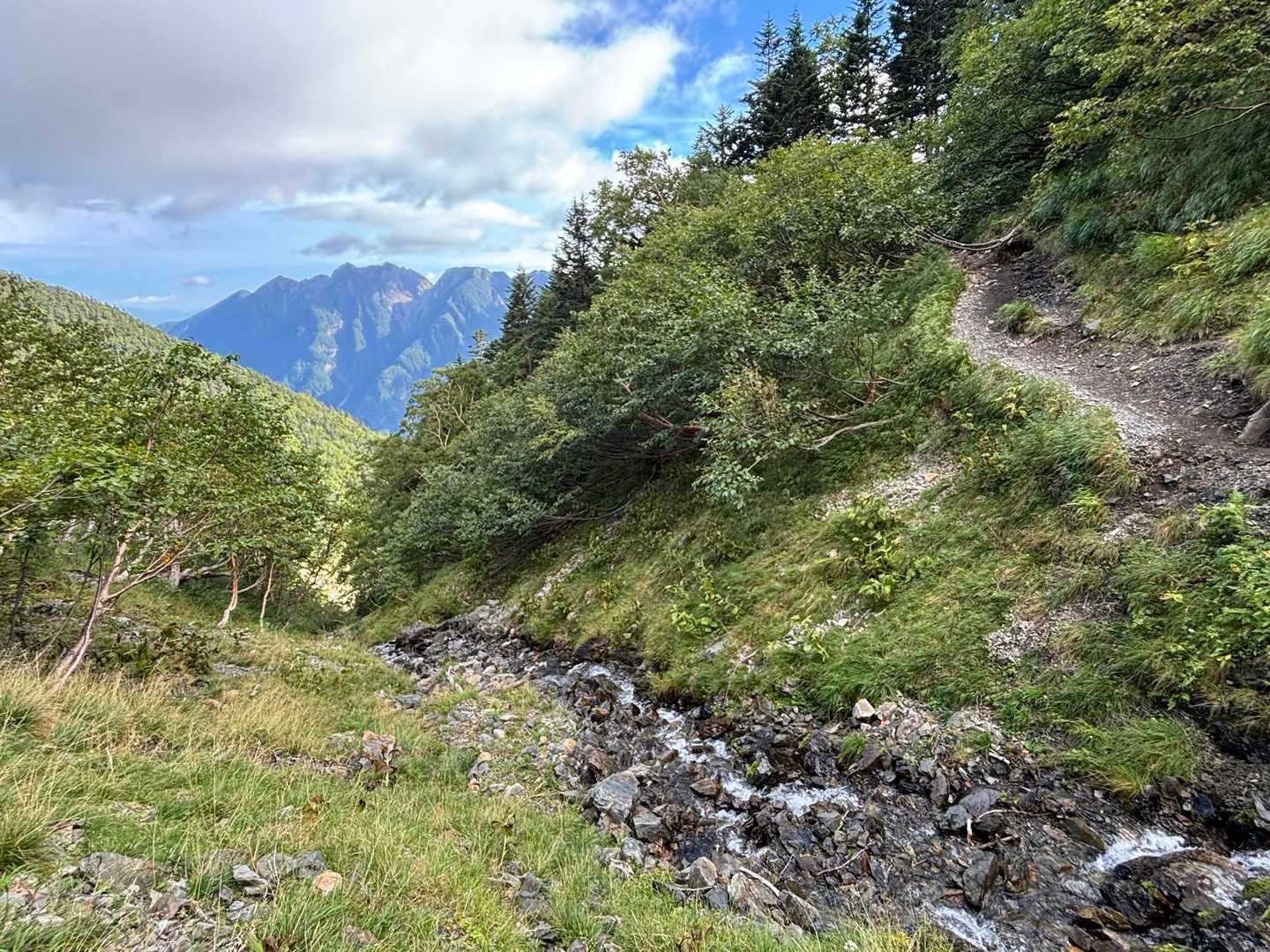北沢峠-小仙丈ヶ岳 往復コースの写真