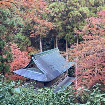 上から見下ろす