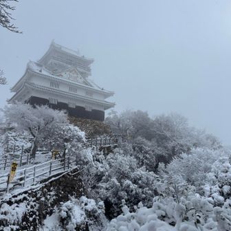 いつもの景色だけれど、いつもと違う❄️