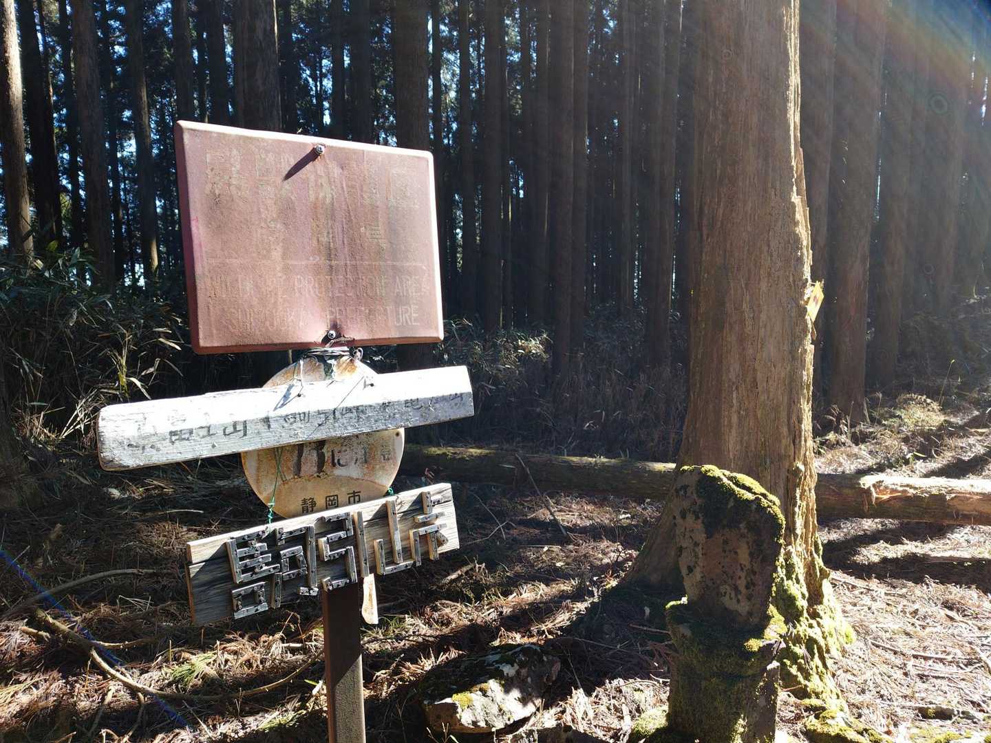 富士見岳から初ルートへ。
駒引峠