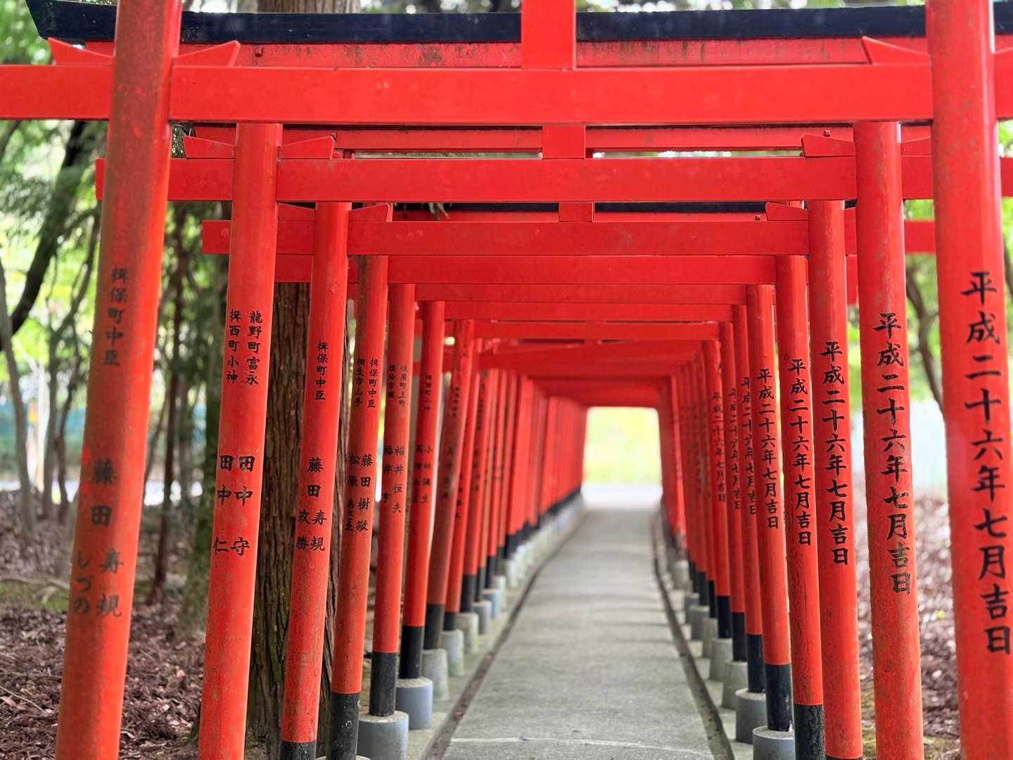 
　野森稲荷神社 ⛩️

　
　鳥居の トンネルをくぐると
　願いが叶ってた

　…というのは 気のせいか…    (°¥°) y"



　おつかれ狐でした





