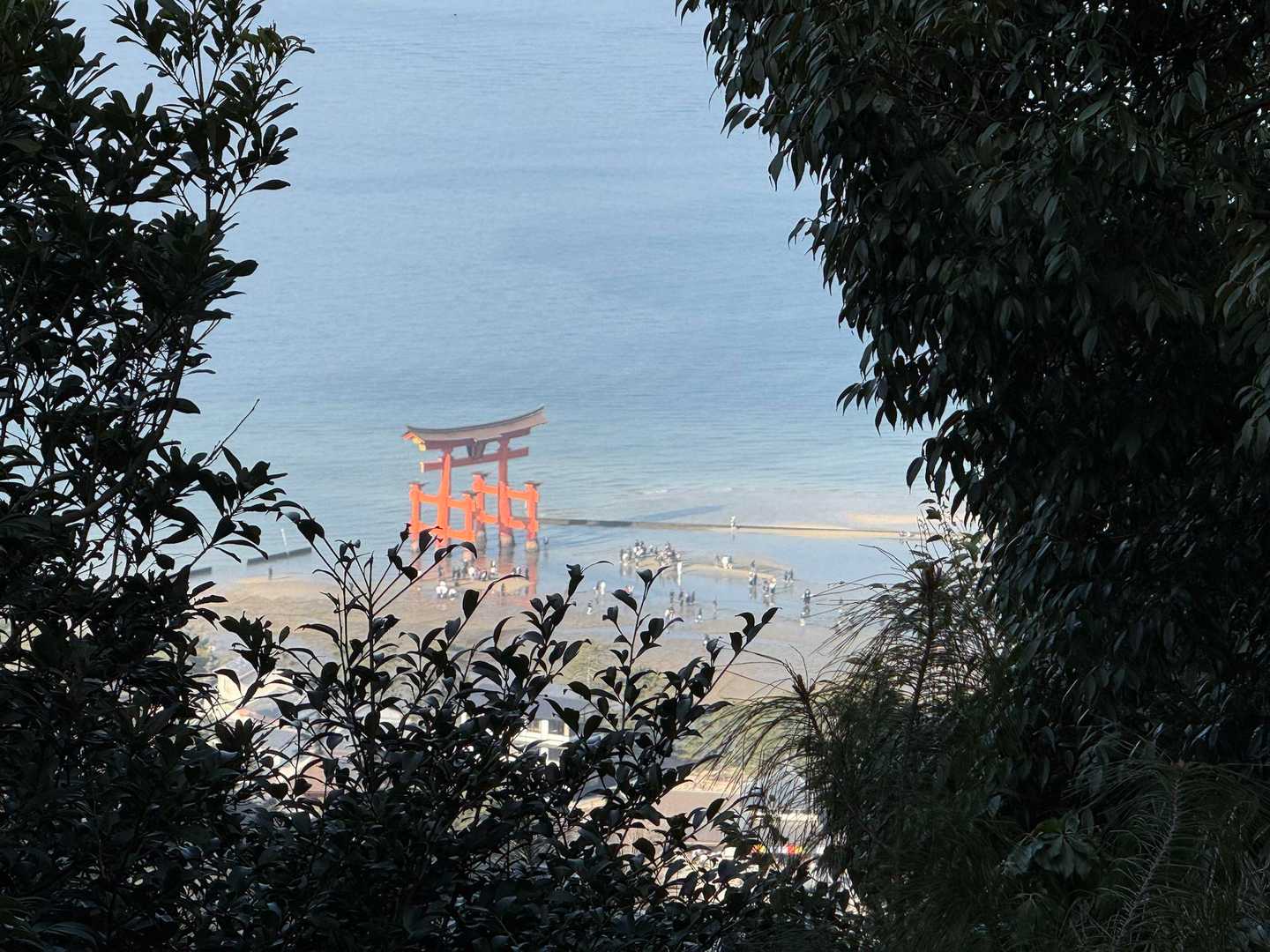 下山時に里見茶屋跡から見えた大鳥居⛩️