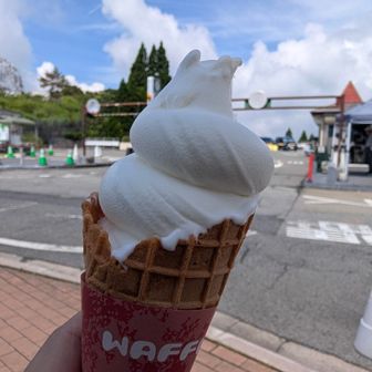ガーデンテラス。
ソフトクリーム🍦。
600円。クレジットカード利用可能に。VISAでタッチ。
露出調整できず。