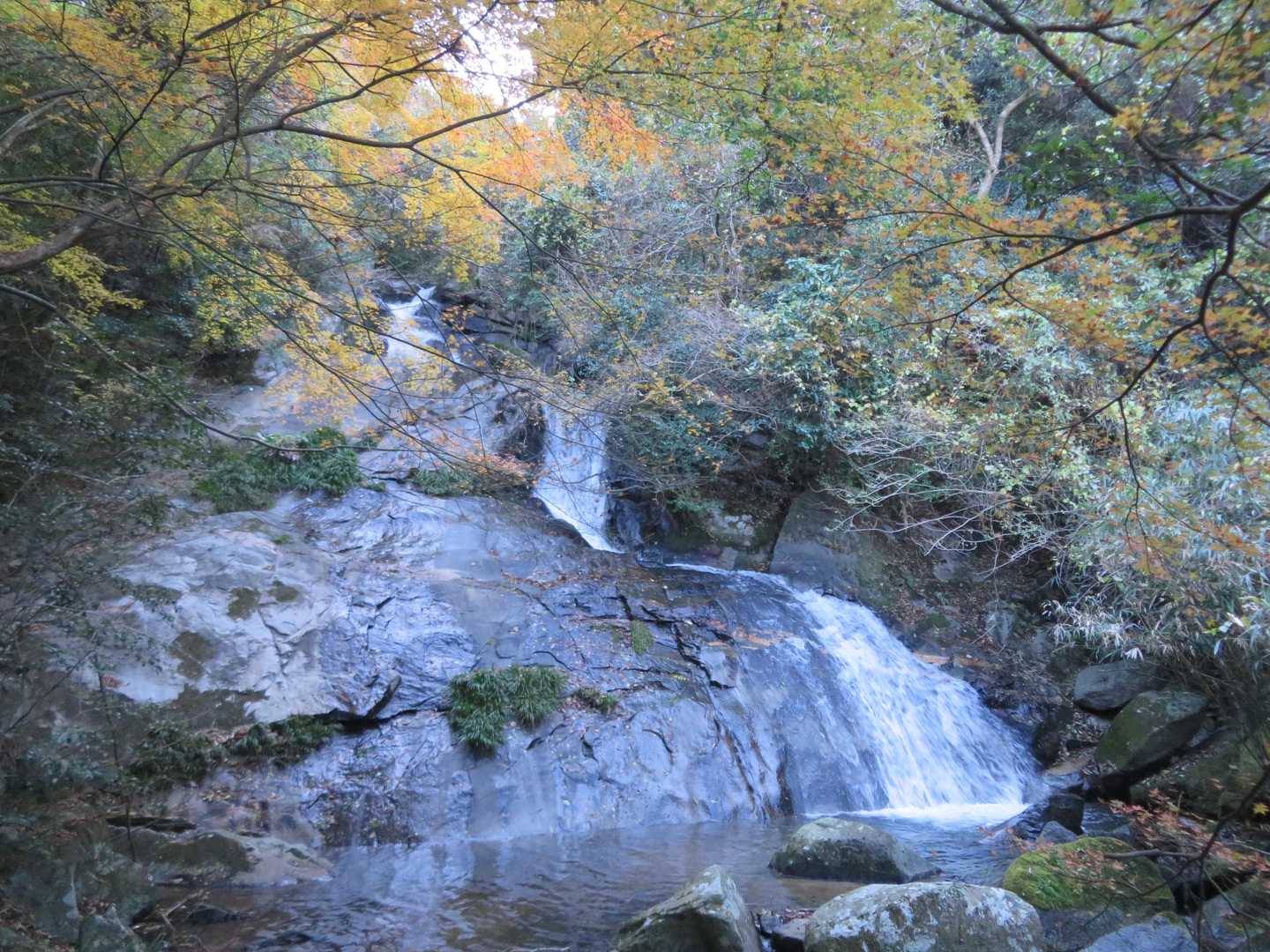 滝