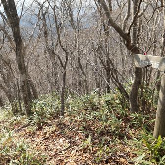 いっき坂の入口、下山に利用して正解かな、急坂でした🚶🚶