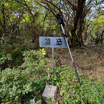 今年は登山道がはっきりしてたので、三角点がわかりました🍮⛰️