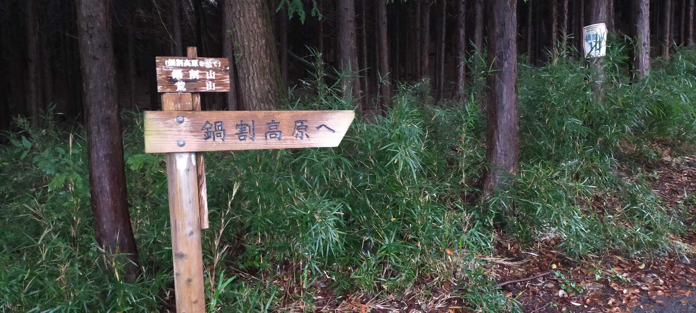 ここからスターティン♪