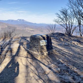 この先ちんさむポイント笑