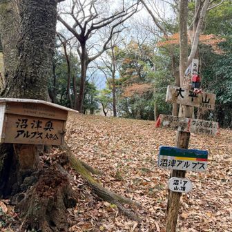 大平山山頂
手作り感あふれる表示がご当地アルプスらしくて良き