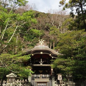 白旗神社（鶴岡八幡宮境内）
源頼朝公、実朝公がお祀りされており、黒塗りの社殿が良い
人が少なく静かにお詣りできる。