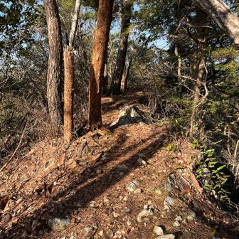 さて次のピークへ