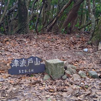 津波戸山に登頂