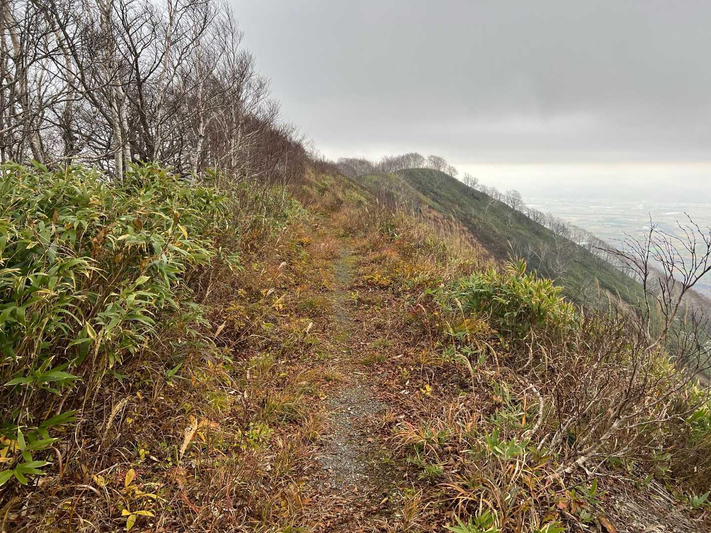 浦臼山あたりの秋はとてもいい🍂
もう足がガクガクする