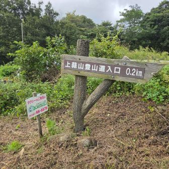 上蒜山登山道で下山