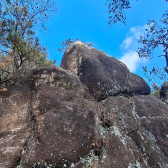 
👴リク🐶を抱え上げる場所も
🐶でも下りは自力で🆗️✨