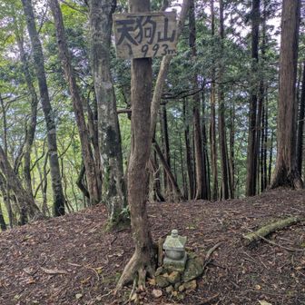 天狗山ピーク⛰