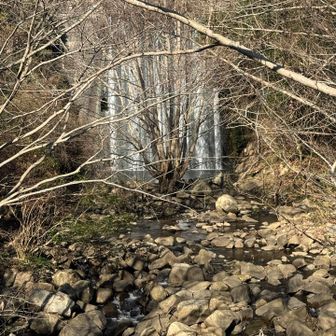 チラッと見える滝が綺麗やった✨