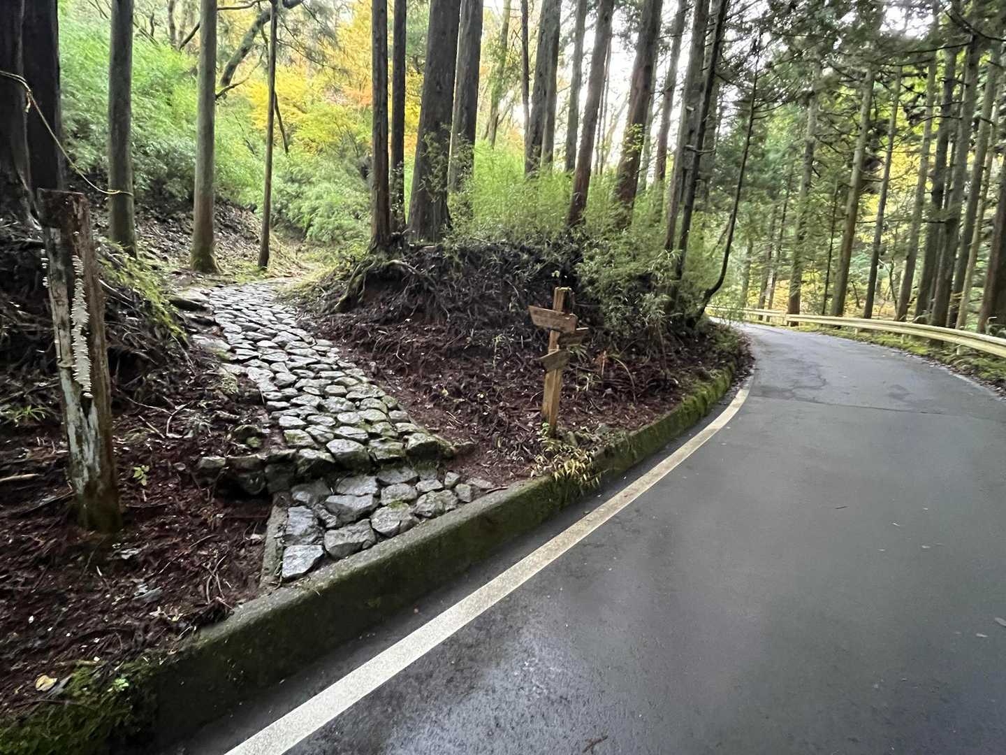 舗装路に飽きてきた頃に、途中から赤坂古道なる登山道が出てきました。