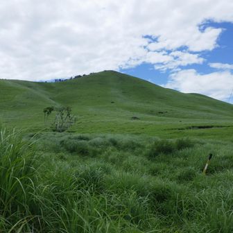 一目山が見えました