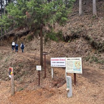 ここからいよいよ森の妖精🧚に会いにいきます✨✨