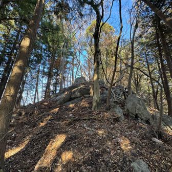 アップダウンがあります