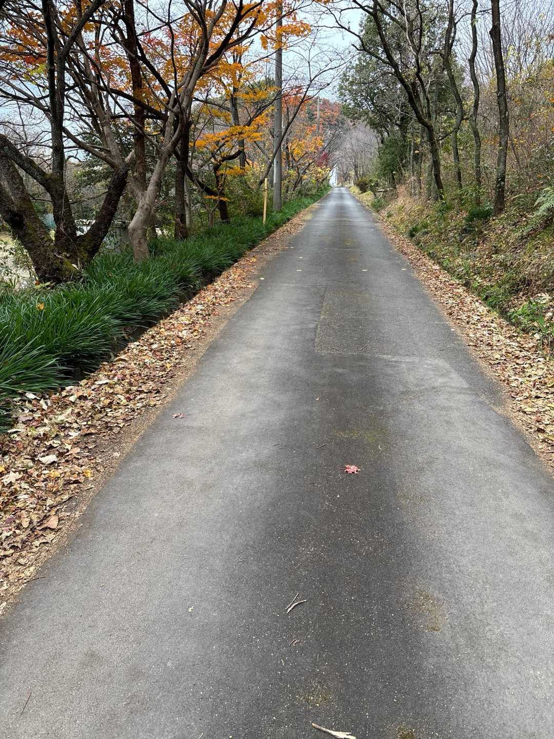 権現山からの下山。


暑くて、上着脱いで。
さむーい
膝痛ーい
頭痛ーい


👿
ラムネよ、無理しなくて良いんだよ
山は逃げない！下山して帰るべき！
雨も降ってきたぞ！

👼
らむね。ゆっくりで良いんだよ。
ソロの良いところ、自分のペースでいけば良いのよ。１０歩ずつ進んでは休もう！
赤い展望台に行くのが目的でここまできたんじゃない！

👿
ラムネよ、体調や気分乗らないなら、やめるべき！怪我や事故のもとさ！無理はしない！
またこれば良いさ！


👼
らむね。あなたなら行ける！本宮山を思い出しなさい。あの辛さを思い出しなさい。
すぐそこに三峰山が待ってるのよ。
あなたなら行ける！絶景が待ってる！
ゆっくり、ゆっくり一歩ずつ！