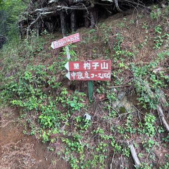 中強度のコースを降りてきた。