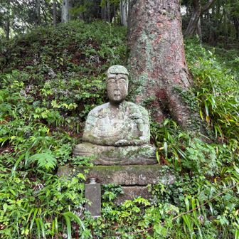 どちらの如来様でしょう