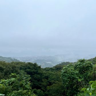 景色も真っ白け！😶‍🌫️