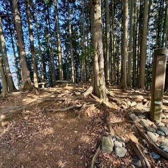 木々に覆われていますが、ベンチもあって快適。