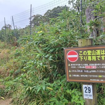 下り専用を降りてきました🤗