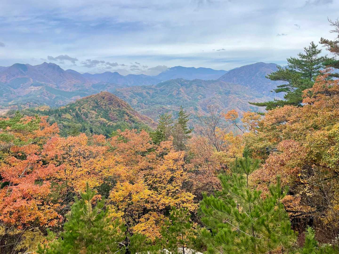 羅漢寺山からはこの景色！
素敵でした✨