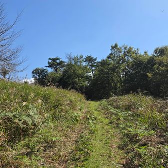 山頂へのアプローチ