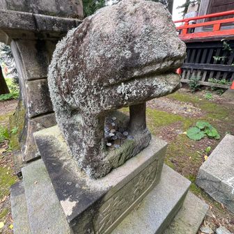 狛犬さん