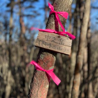 分かりずらい登りをちょいちょい迷いながら😂尾根に出て、まずは小ピークゲット！