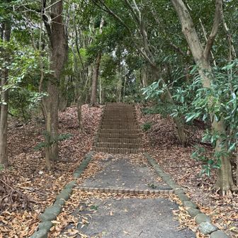 登山というほどではない