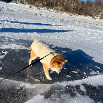 ヒビのところは怖いのかな😅また来ようね