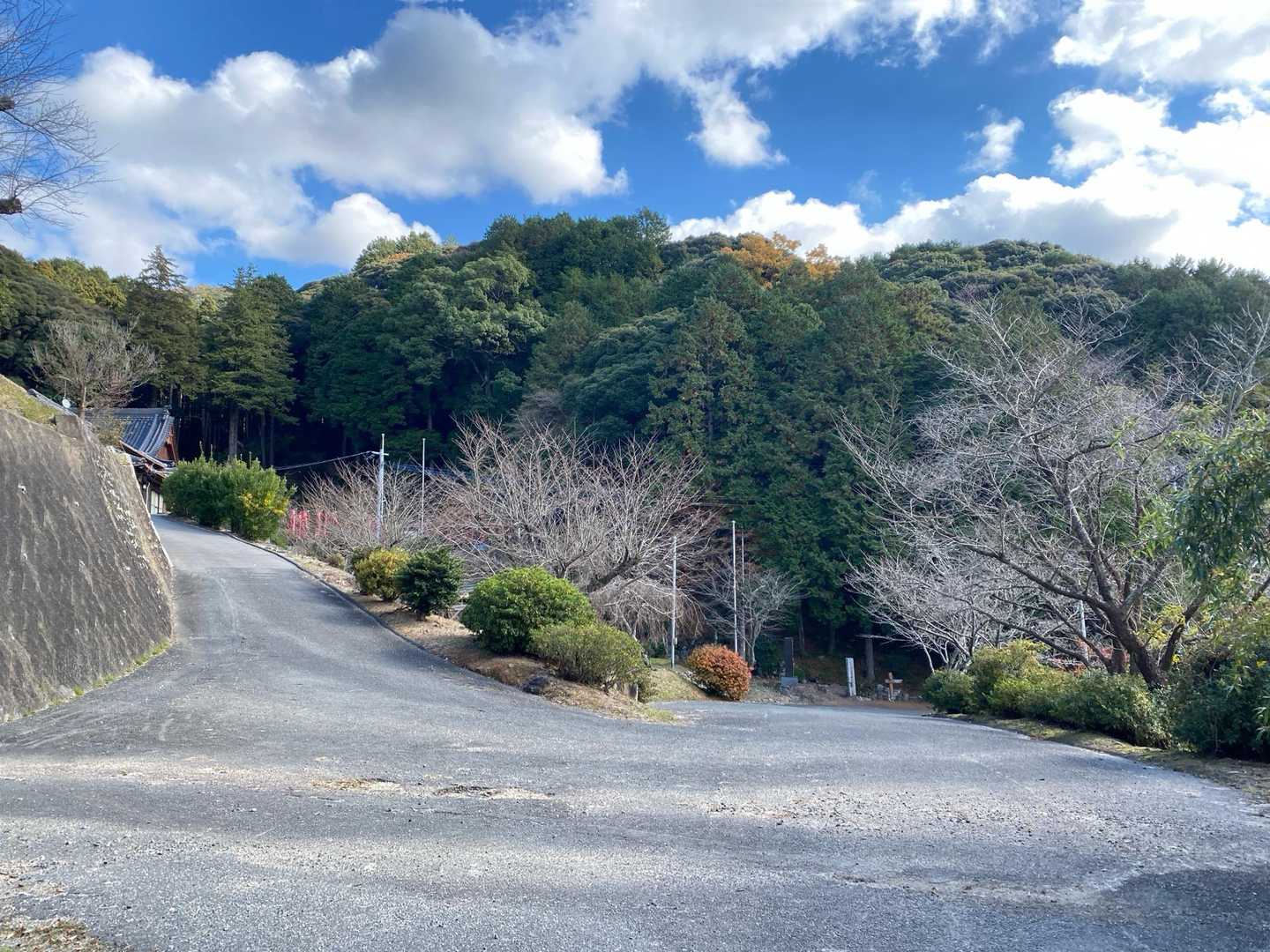 ここに出ました。
ねおいの観音様のある妙立寺があります。