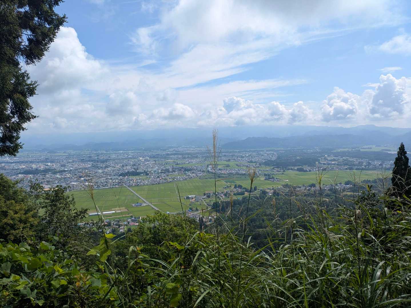 羽山-愛宕山-笹野山 往復コースの写真