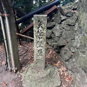 頂上のキャンプ場が堡塁あと