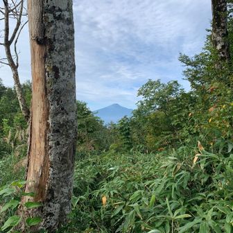 奥に見えるのは鳥海山です。