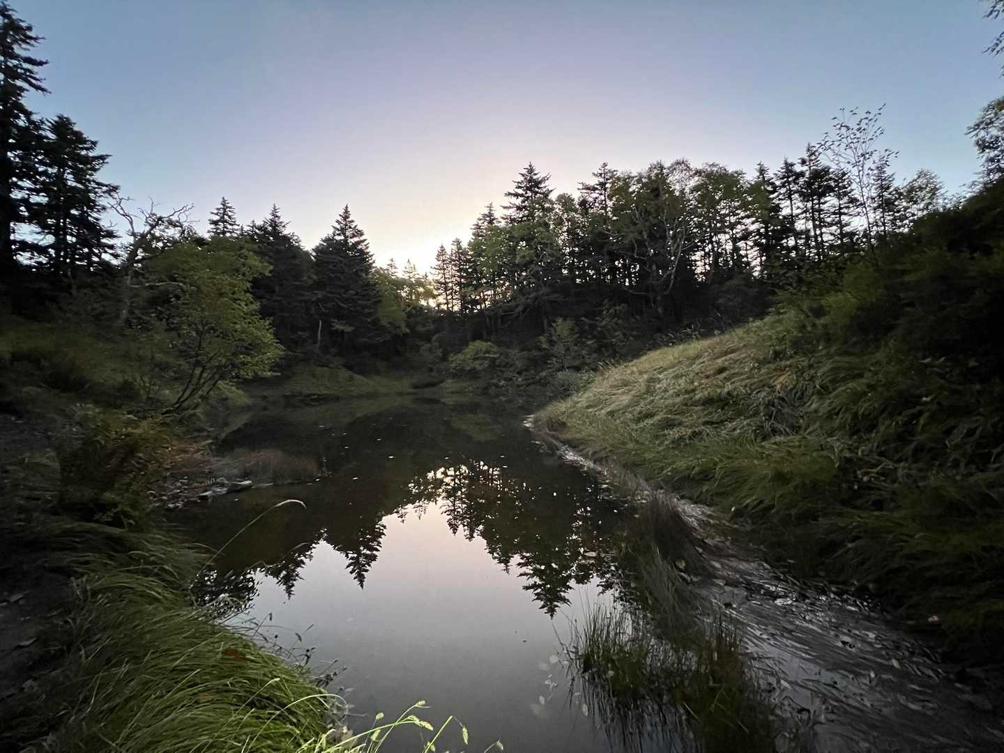 綺麗だなぁ