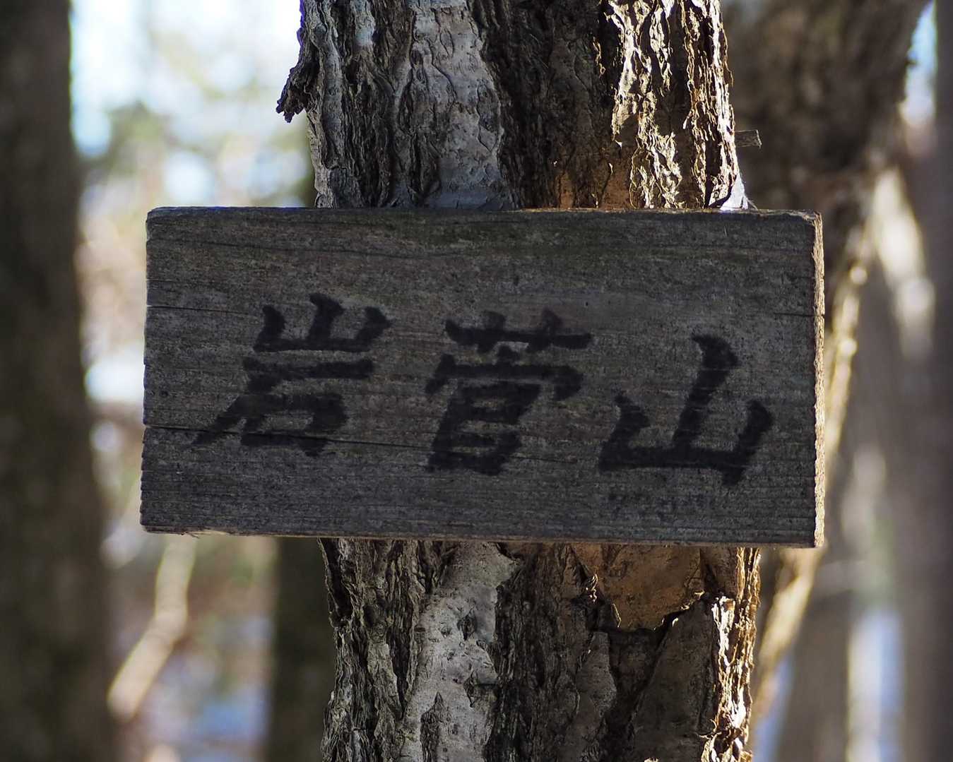 岩菅山⛰登頂です❗眺望イマイチ😅戻ろっ🏃