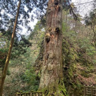 ほんとご立派です。