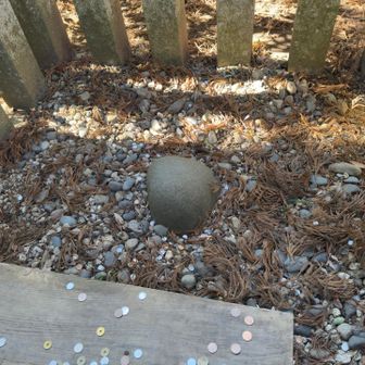 要石（かなめいし）
香取神宮と茨城県の鹿島神宮にまつられている要石は、地震を鎮める石として信仰されていました
地震は地中に潜むオオナマズが暴れて起こすものと思われていて、石の棒を地中深く杭のように差し込んでオオナマズを押さえたのが要石だと伝わっているそうです
頭頂部は香取神宮では凸形、鹿島神宮では凹形

日本列島あっちこっちで地震が起きているので、是非鎮めて欲しいですね🙏

映画「すずめの戸締まり」のストーリーにも要石が出てきます🪨