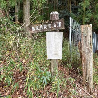 行って来ます🚶‍♂️