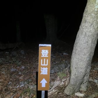 急に看板が登場